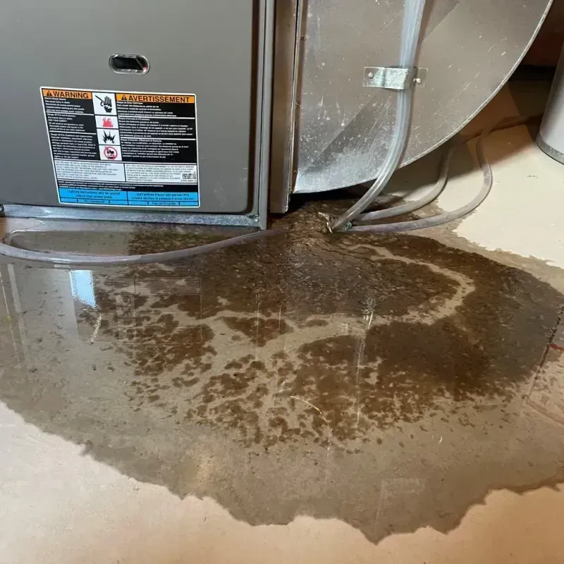 Appliance Leak Cleanup in Corpus Christi, TX